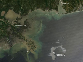 Illustration for article titled The Only Way To Save The Environment May Be Setting An Oil Slick On Fire